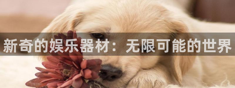 彩神vii官方
