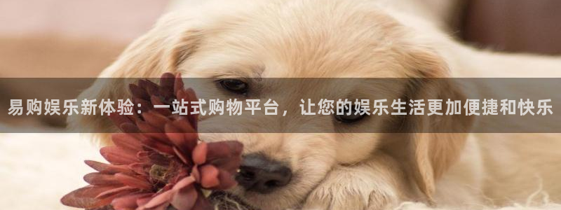 彩神vii官方