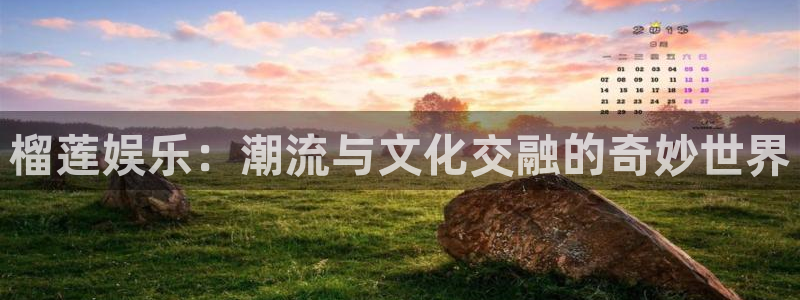 彩神vii官方